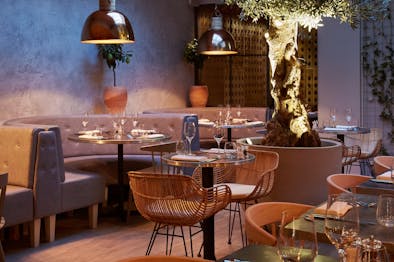 Bandol feature image