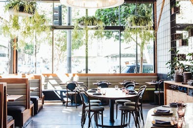 Barcino feature image