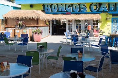 Bongos feature image