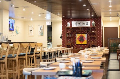 D Cuisine feature image