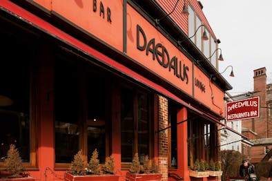 Daedalus feature image