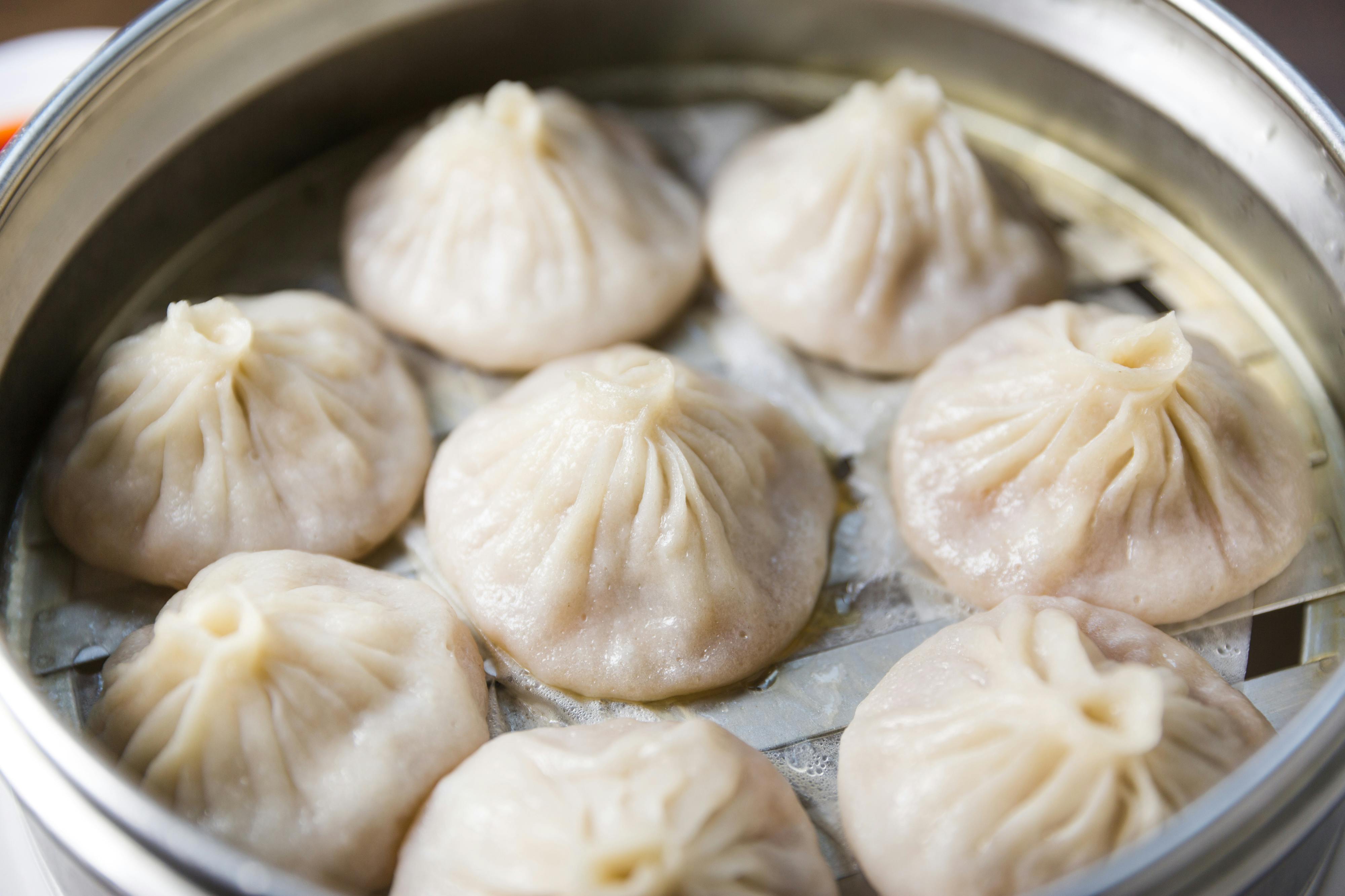 dim sum philadelphia dim sum philadelphia