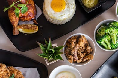 Flock & Fowl feature image