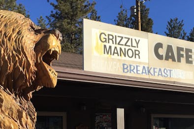 Grizzly Manor Cafe feature image