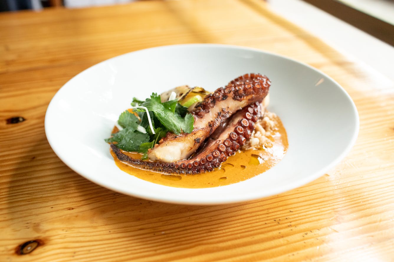 Lardo La Condesa Mexico City The Infatuation