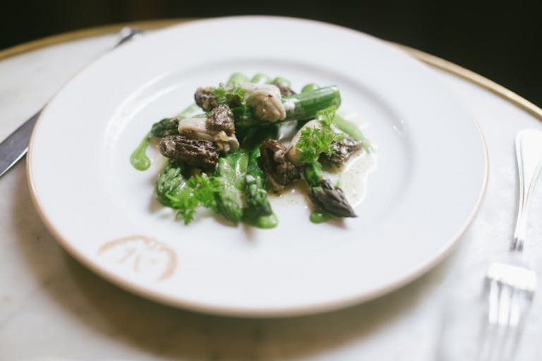 Maison Premiere New York The Infatuation