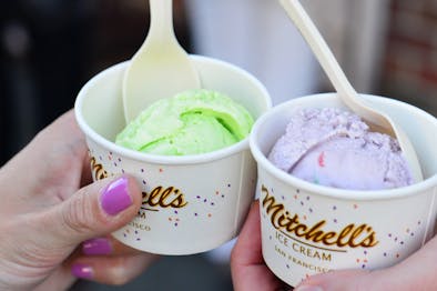 Mitchell's Ice Cream feature image