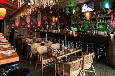 No Bones Beach Club feature image