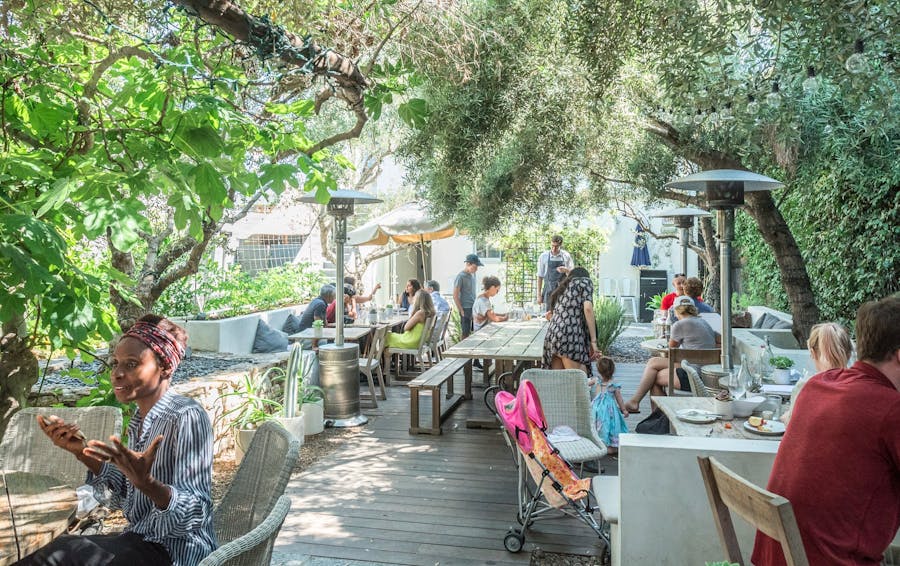 Plant Food and Wine Venice Los Angeles The Infatuation