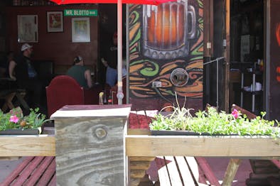 Reggies feature image