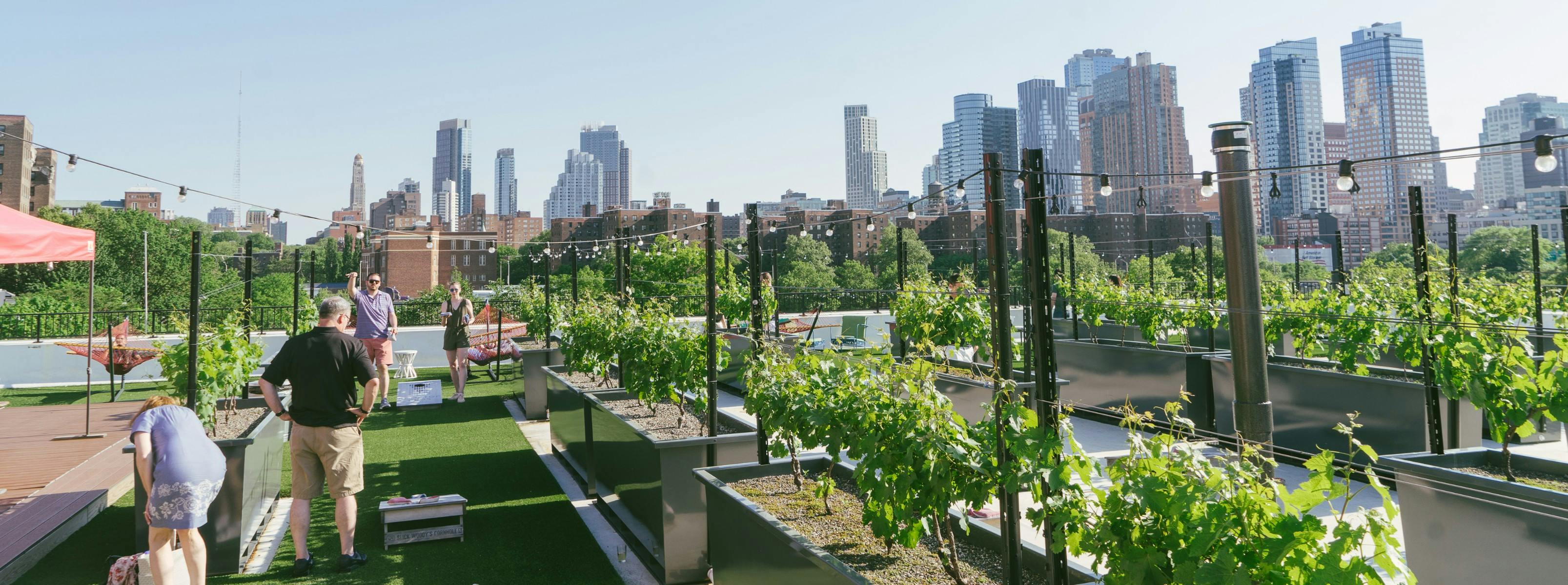 Rooftop Reds - Brooklyn Navy Yard - New York - The Infatuation