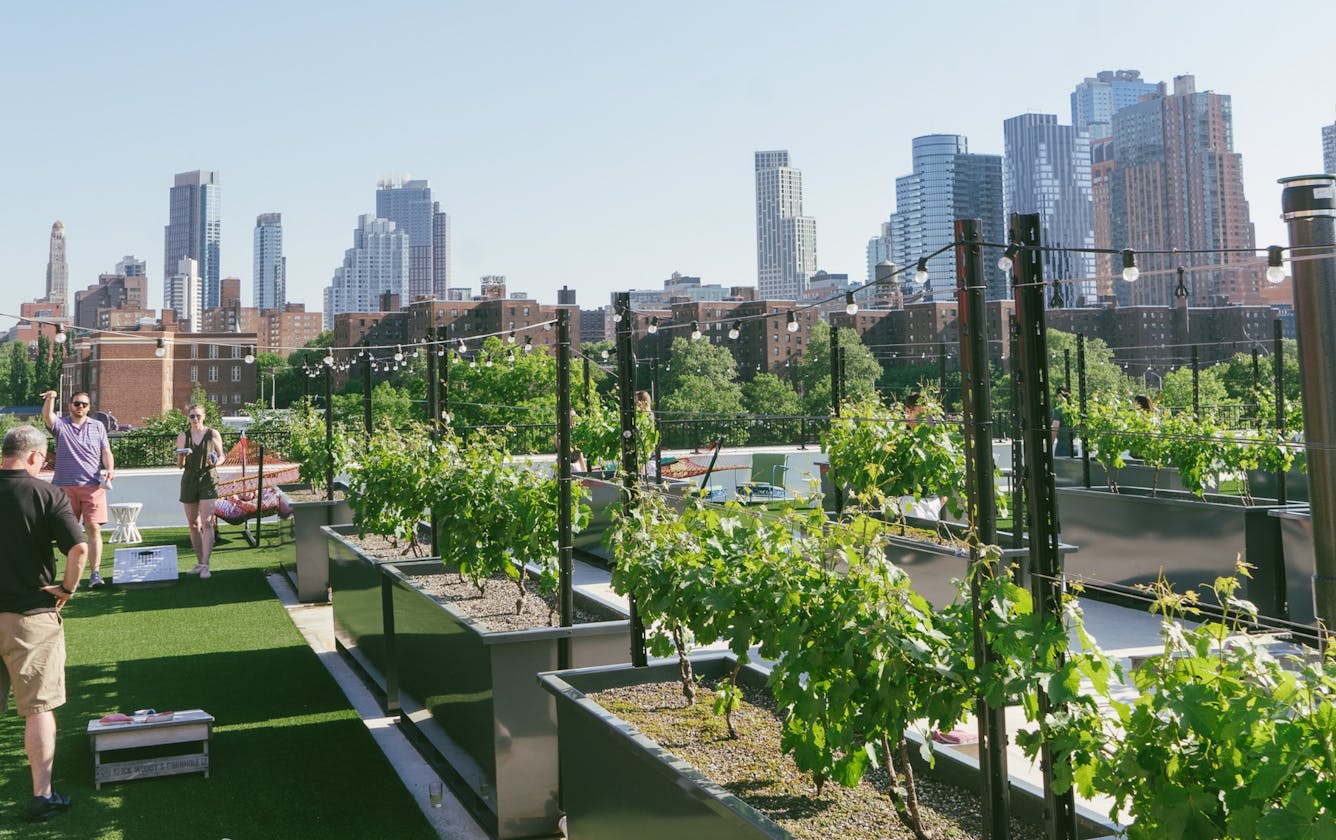 Rooftop Reds Brooklyn Navy Yard New York The Infatuation