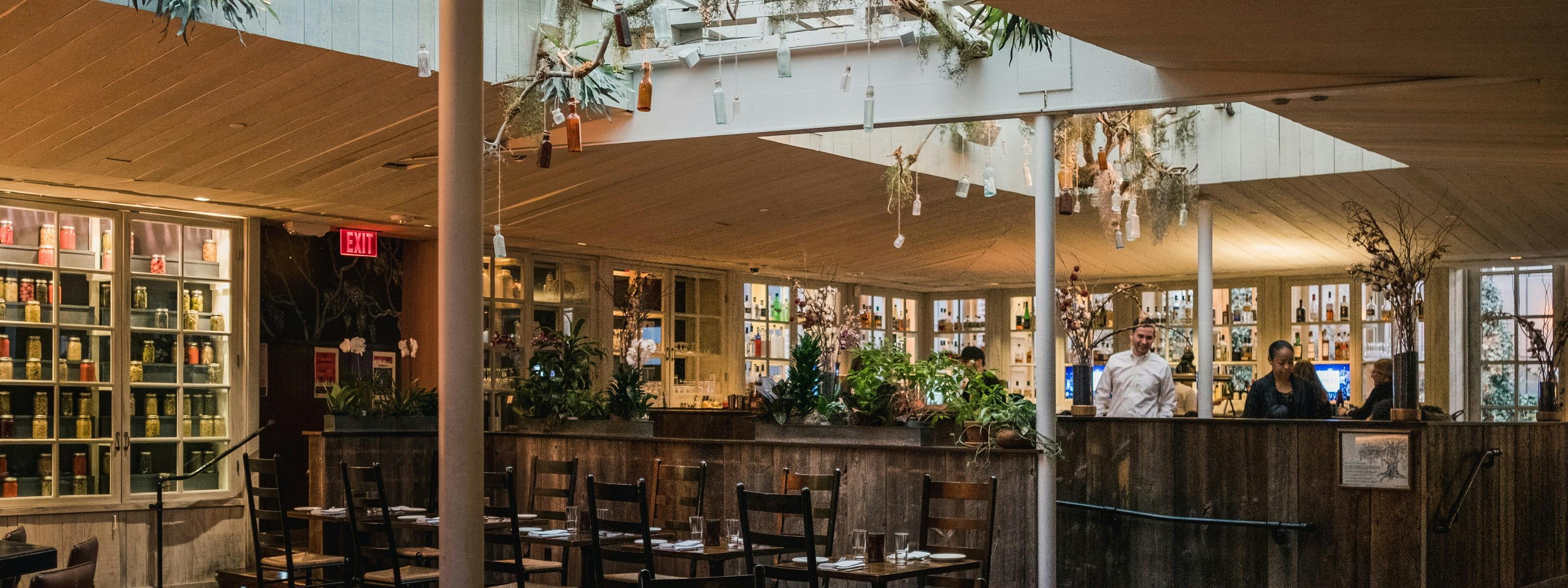 South Restaurant - Spring Garden 