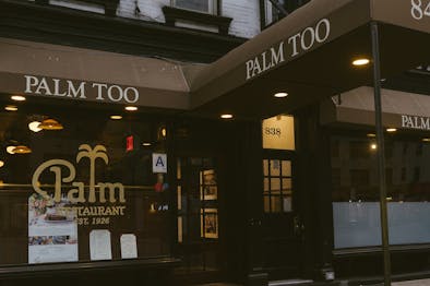 The Palm Too feature image