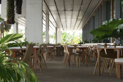 Verde at Pérez Art Museum Miami feature image