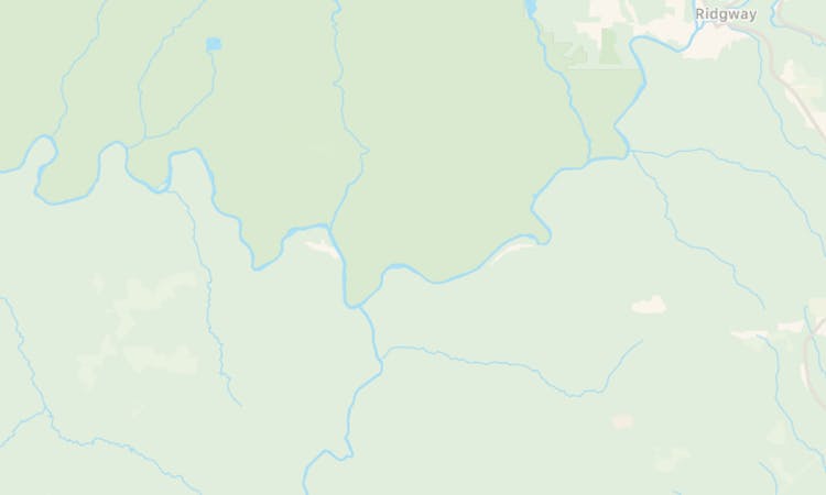 The 19 Best Pizza Places In NYC - New York - The Infatuation