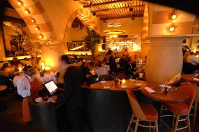 Barbounia feature image