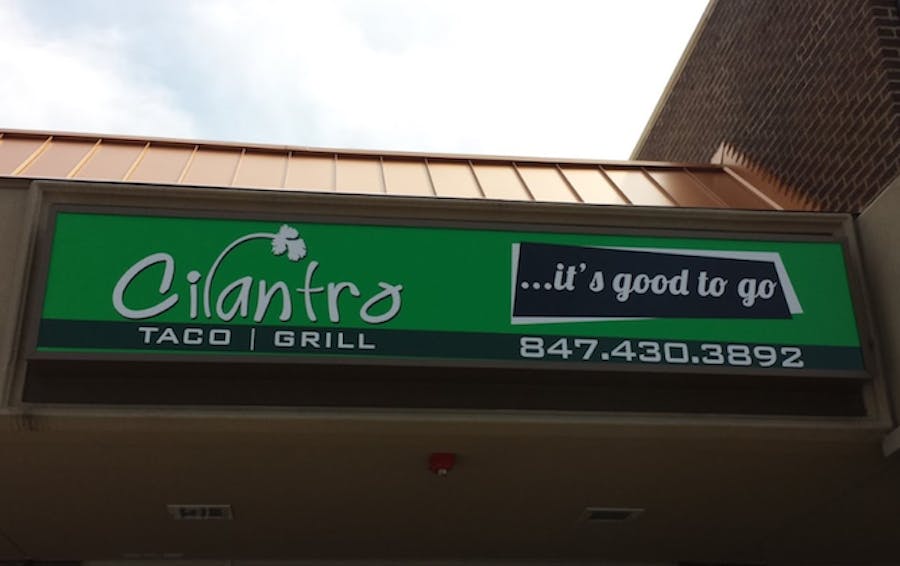 Cilantro Taco Grill Rosemont Chicago The Infatuation